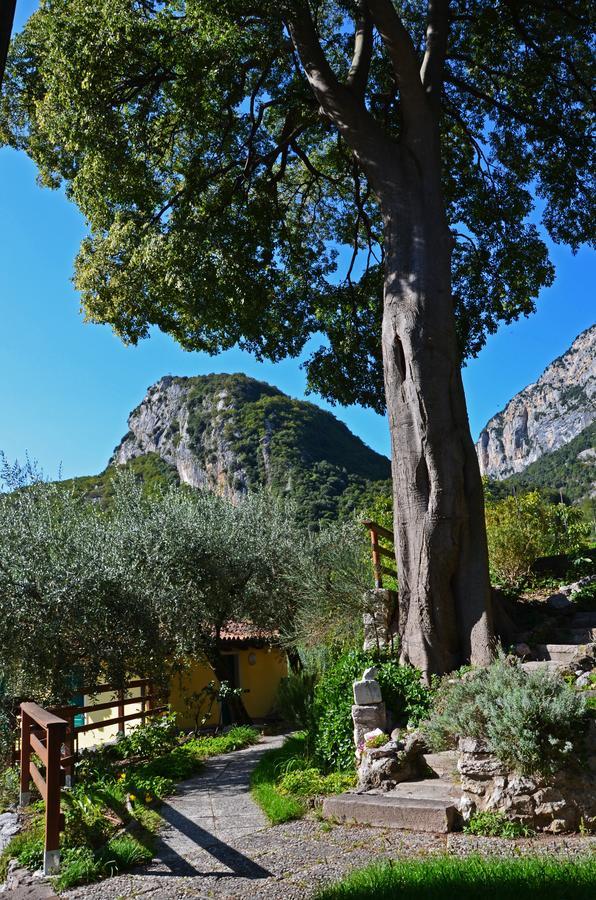 Hotel Garni Delle Rose Ceniga Exterior photo